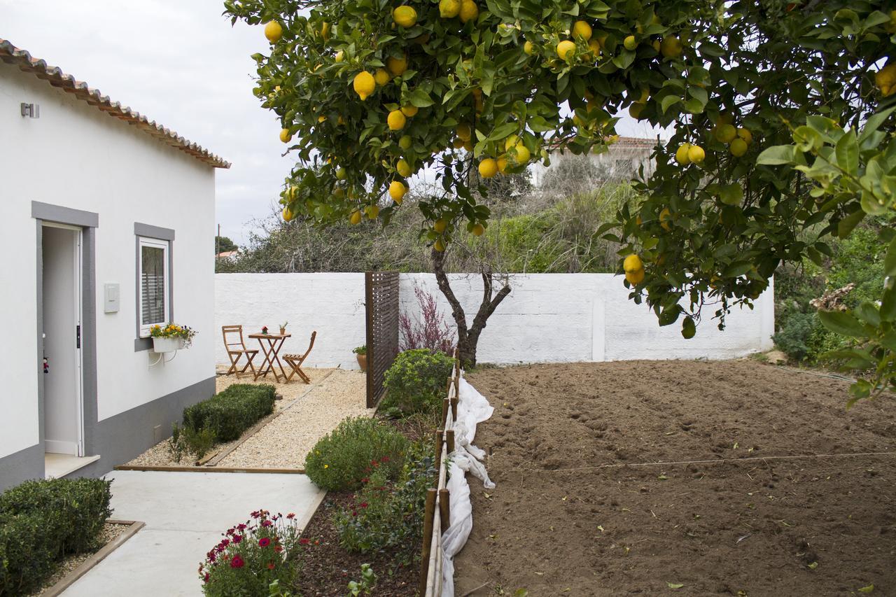 Casa Do Avo Serra Leiria Zewnętrze zdjęcie