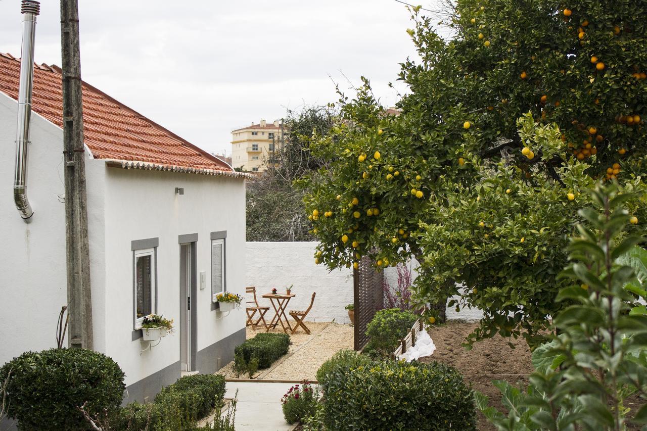 Casa Do Avo Serra Leiria Zewnętrze zdjęcie